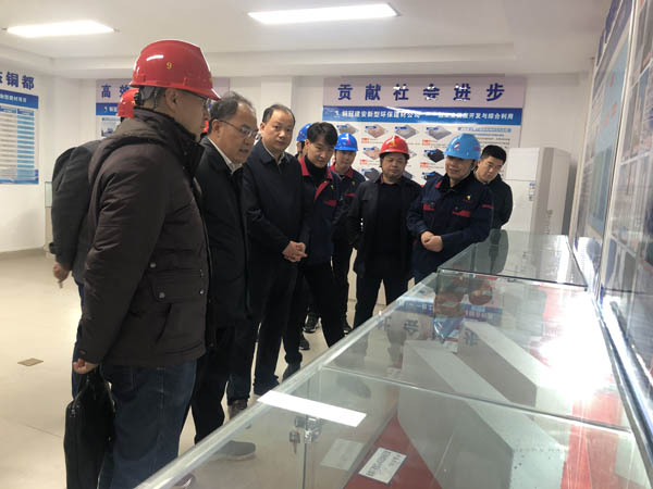 中國(guó)建材研究總院到建材公司調(diào)研